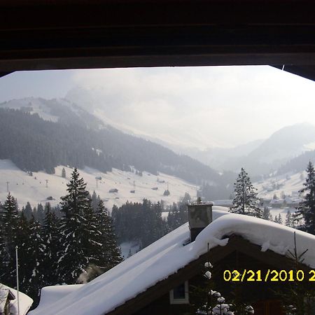 Apartment Nadeschda Adelboden Luaran gambar