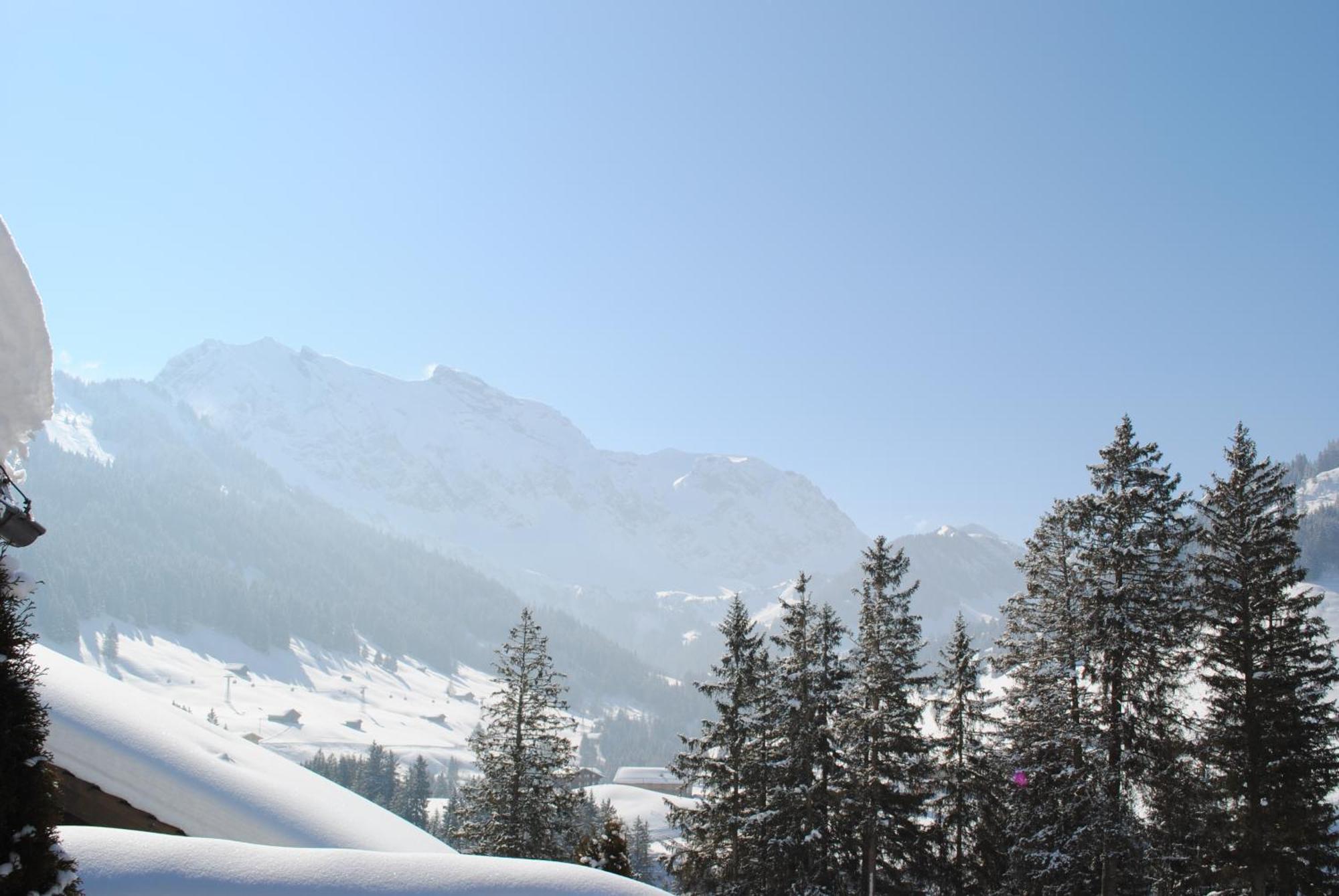 Apartment Nadeschda Adelboden Luaran gambar