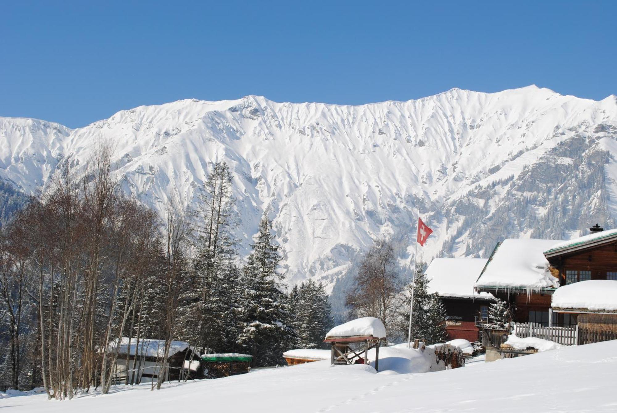 Apartment Nadeschda Adelboden Luaran gambar